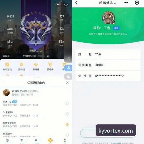 老用户实测分享：KY体育官方认证平台的使用心得与实战经验